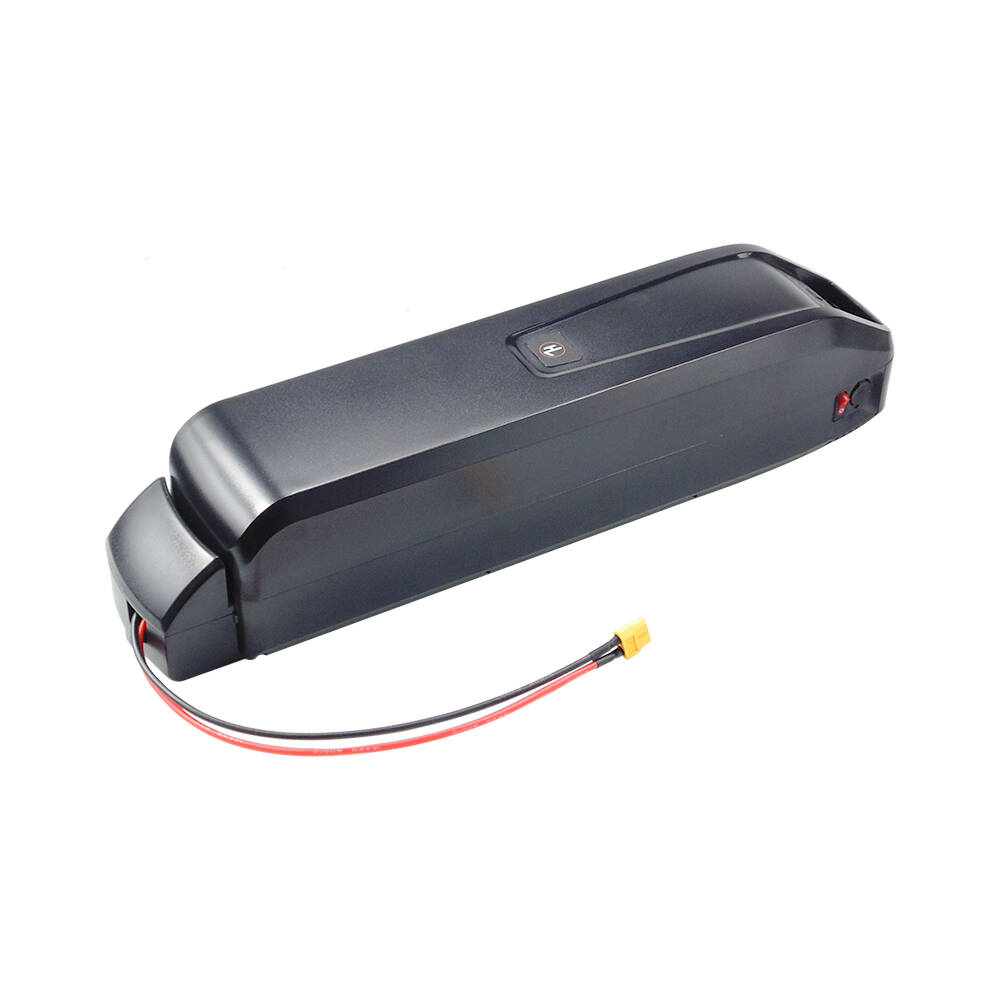 Ebike Battery 48V 20Ah Hailong - Actbest Kargo Elektrikli Bisikleti için Yeni